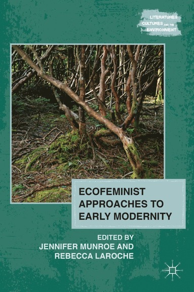 bokomslag Ecofeminist Approaches to Early Modernity