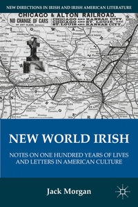 bokomslag New World Irish