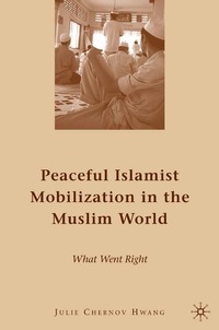 bokomslag Peaceful Islamist Mobilization in the Muslim World