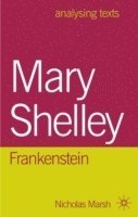bokomslag Mary Shelley: Frankenstein