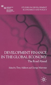 bokomslag Development Finance in the Global Economy