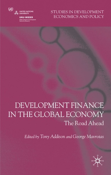 bokomslag Development Finance in the Global Economy