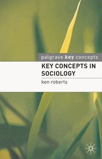 bokomslag Key Concepts in Sociology