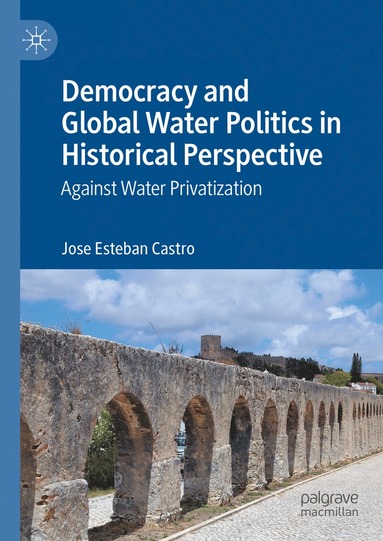 bokomslag Democracy and Global Water Politics in Historical Perspective