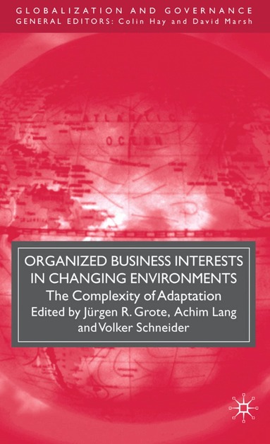 J. Grote, A. Lang, V. Schneider - Organized Business Interests in Changing Environments, Inbunden