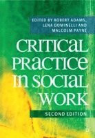bokomslag Critical Practice in Social Work