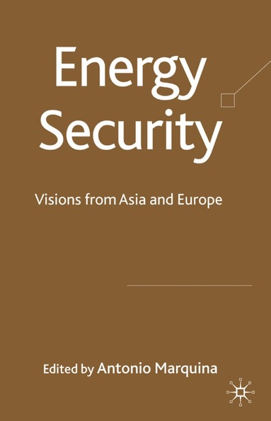 bokomslag Energy Security