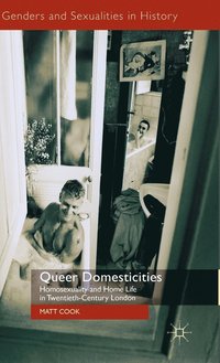 bokomslag Queer Domesticities