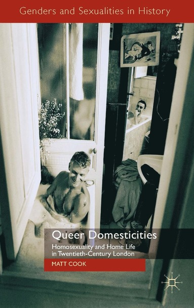 bokomslag Queer Domesticities