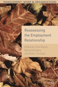 bokomslag Reassessing the Employment Relationship