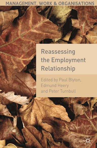 Edmund Heery, Peter Turnbull - Reassessing the Employment Relationship, Häftad