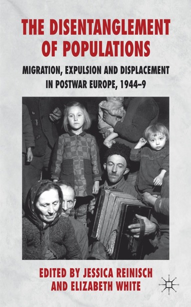 bokomslag Disentanglement of Populations