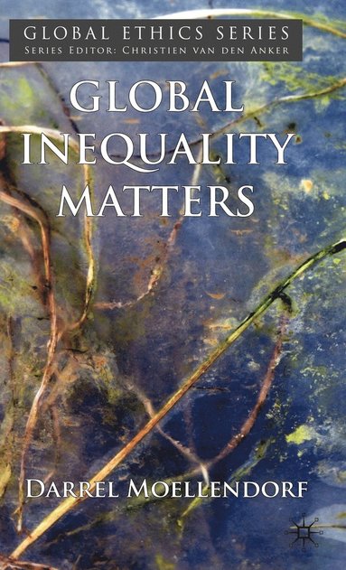 bokomslag Global Inequality Matters