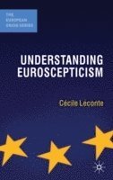 bokomslag Understanding Euroscepticism