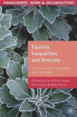 bokomslag Equality, Inequalities and Diversity: Contemporary Challenges and Strategies