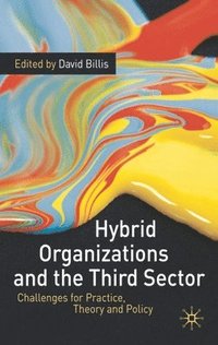 bokomslag Hybrid Organizations and the Third Sector