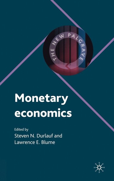 bokomslag Monetary Economics