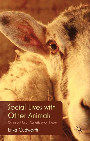 bokomslag Social Lives with Other Animals