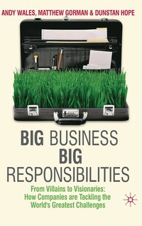bokomslag Big Business, Big Responsibilities