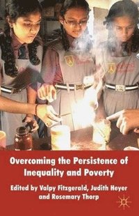 bokomslag Overcoming the Persistence of Inequality and Poverty