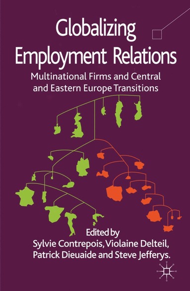 bokomslag Globalizing Employment Relations