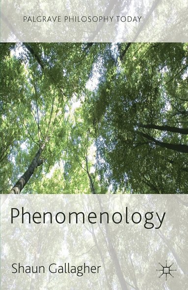 bokomslag Phenomenology