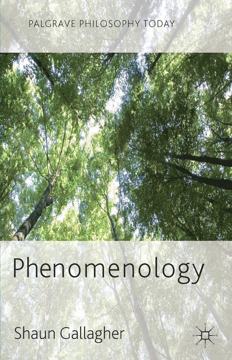 Phenomenology 1