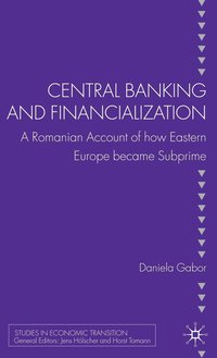 bokomslag Central Banking and Financialization
