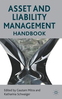 bokomslag Asset and Liability Management Handbook