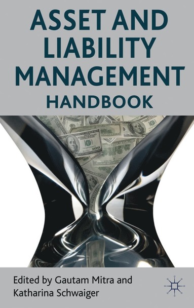 bokomslag Asset and Liability Management Handbook