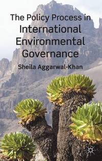 bokomslag The Policy Process in International Environmental Governance