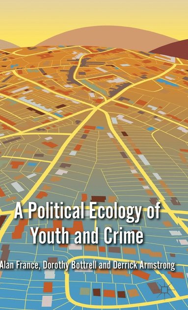 bokomslag A Political Ecology of Youth and Crime