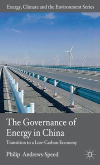 bokomslag The Governance of Energy in China