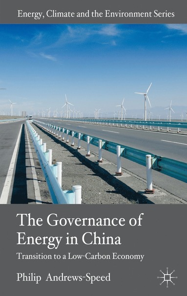 bokomslag Governance of Energy in China