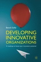 bokomslag Developing Innovative Organizations