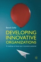 Developing Innovative Organizations 1