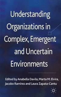 bokomslag Understanding Organizations in Complex, Emergent and Uncertain Environments