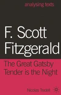 bokomslag F. Scott Fitzgerald: The Great Gatsby/Tender is the Night