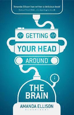 Getting your head around the brain 1