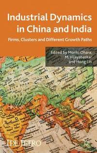 bokomslag Industrial Dynamics in China and India
