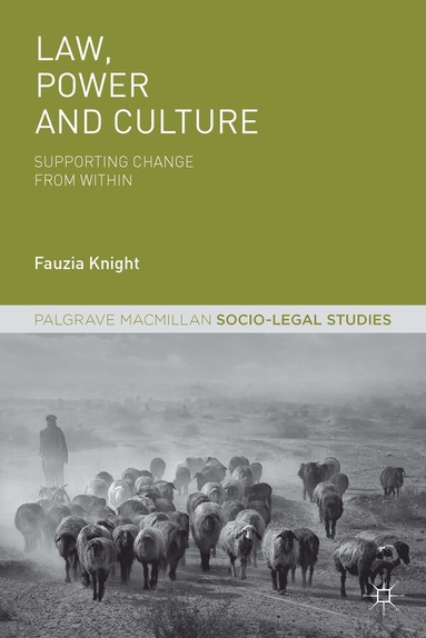 bokomslag Law, Power and Culture