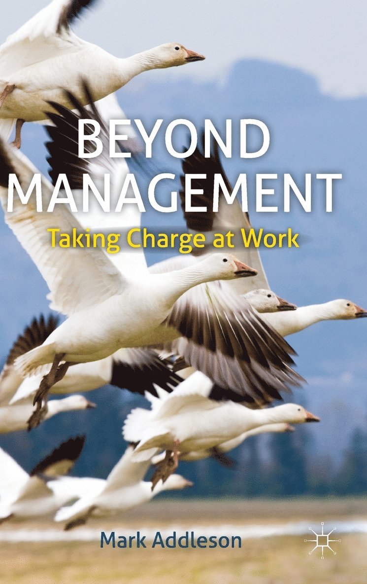 Beyond Management 1