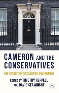 bokomslag Cameron and the Conservatives