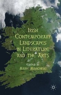 bokomslag Irish Contemporary Landscapes in Literature and the Arts