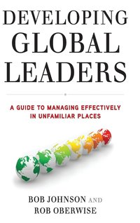 bokomslag Developing Global Leaders
