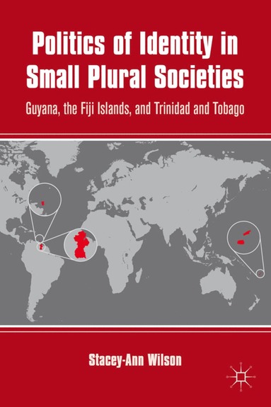 bokomslag Politics of Identity in Small Plural Societies