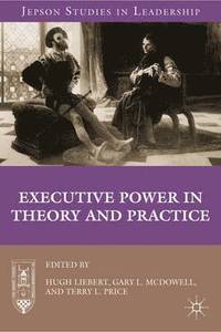 bokomslag Executive Power in Theory and Practice