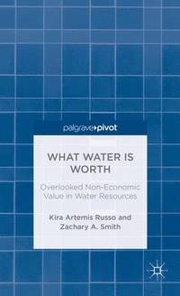bokomslag What Water Is Worth: Overlooked Non-Economic Value in Water Resources
