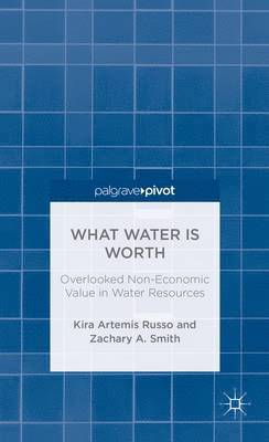 What Water Is Worth: Overlooked Non-Economic Value in Water Resources 1