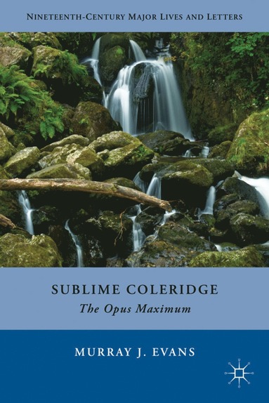 bokomslag Sublime Coleridge